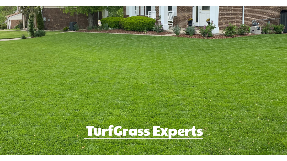 TurfGrass Experts Brings Science-Based Lawn Care Across the River to Northern KY